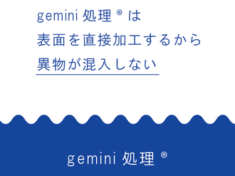gemini_5